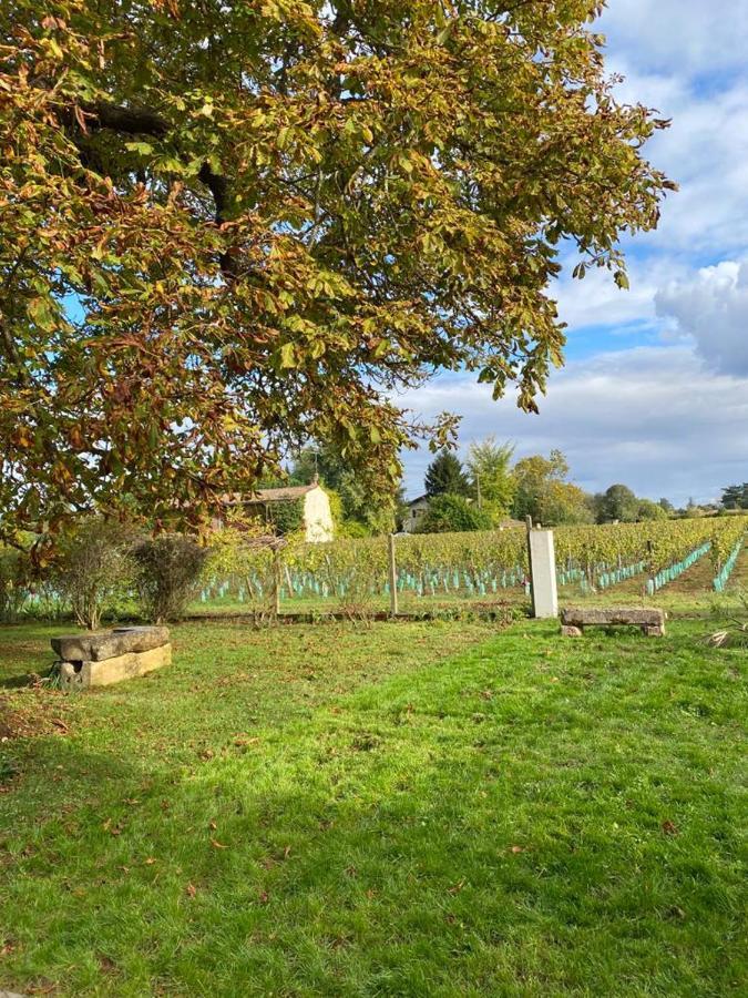 Bed and Breakfast Le Jardin Dans Les Vignes Barsac  Екстер'єр фото