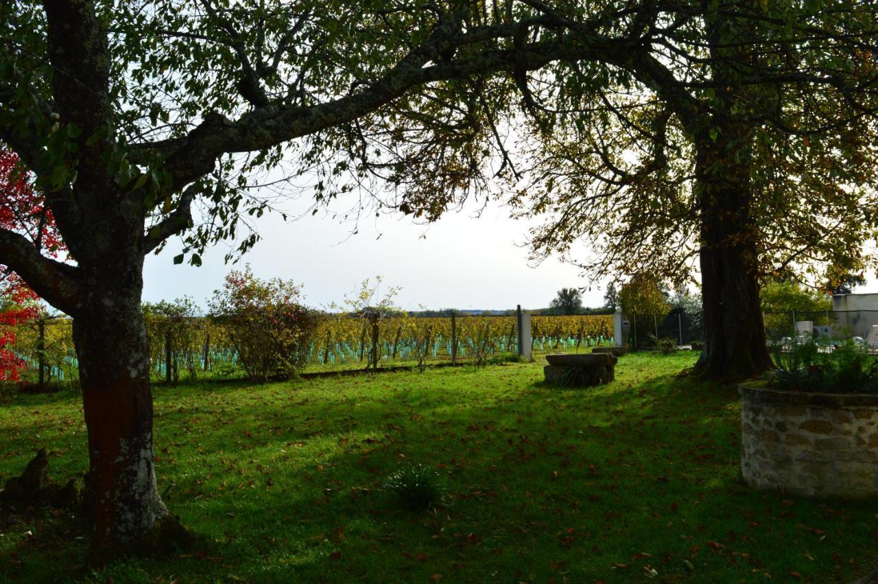 Bed and Breakfast Le Jardin Dans Les Vignes Barsac  Екстер'єр фото