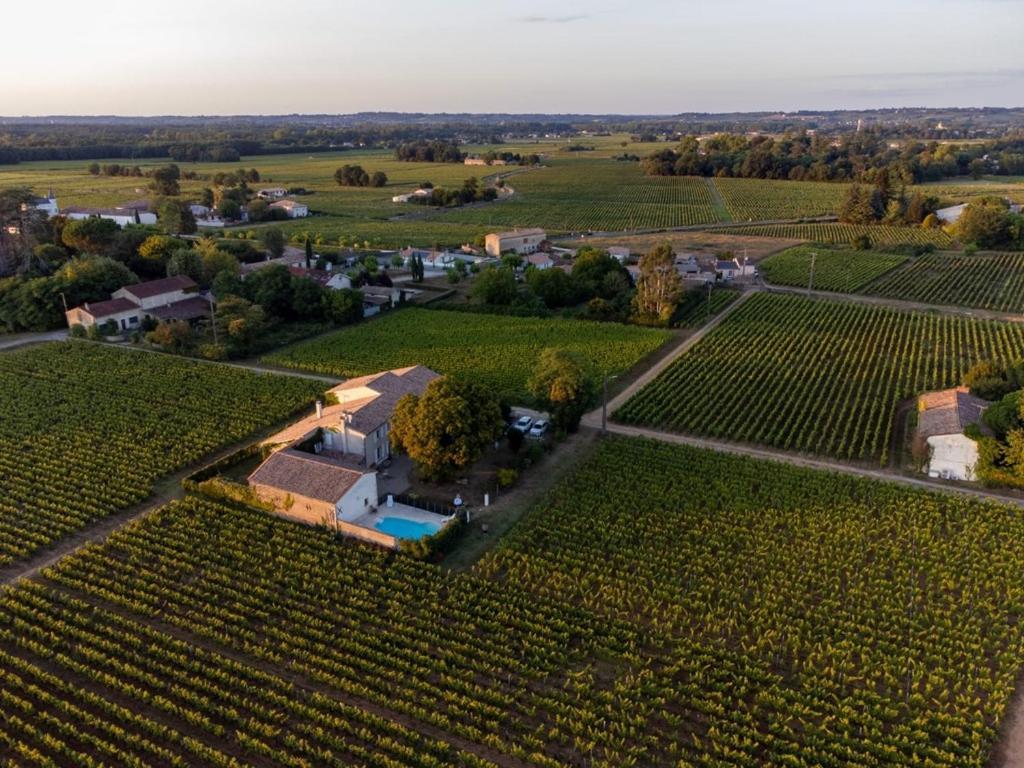 Bed and Breakfast Le Jardin Dans Les Vignes Barsac  Екстер'єр фото